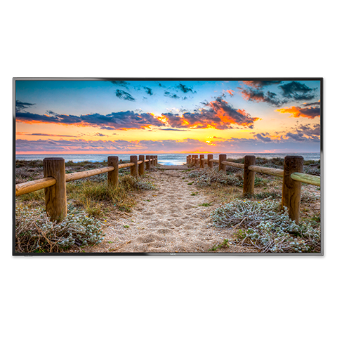 NEC 55 inch Entry Level 350nit UHD Large Format Display