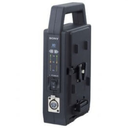 Portable 2 Position Battery Charger