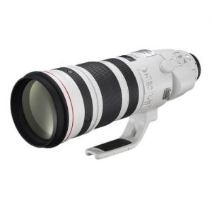 EF 200-400mm f/4L IS USM with Ext 1.4x