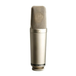 Versatile Studio Condenser Microphone