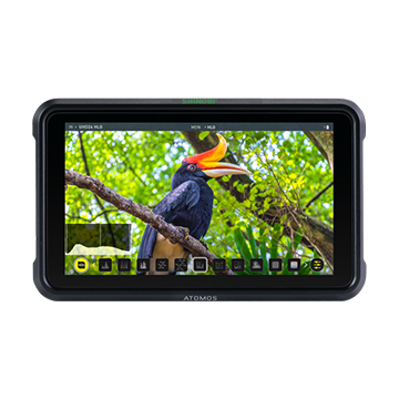 shinobi atomos monitor