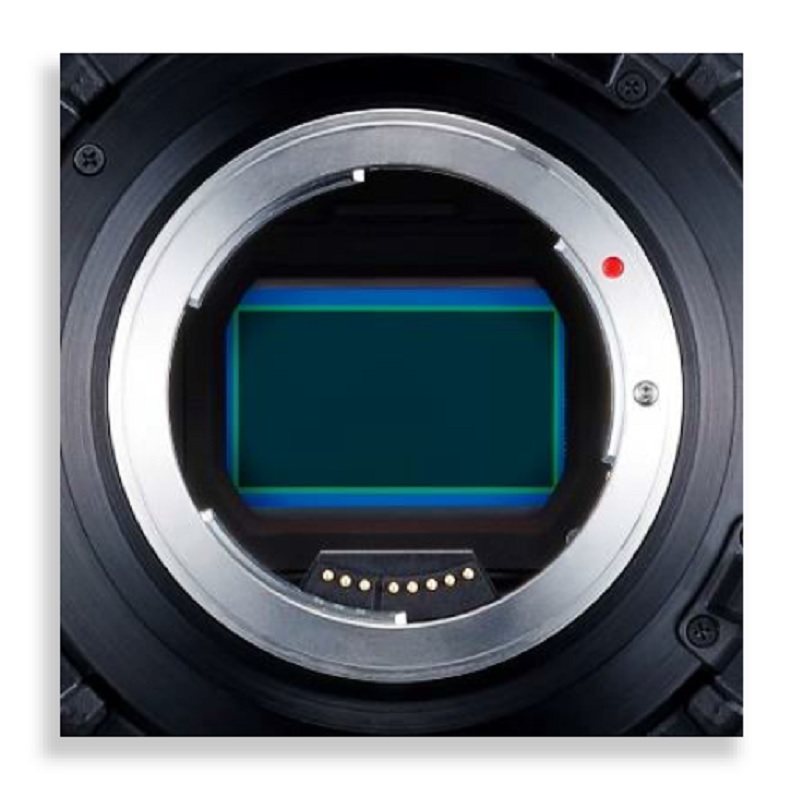 Canon EOS C500 Mark II Full Frame